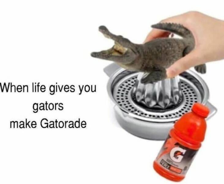 Food Fails That’ll Make You Laugh