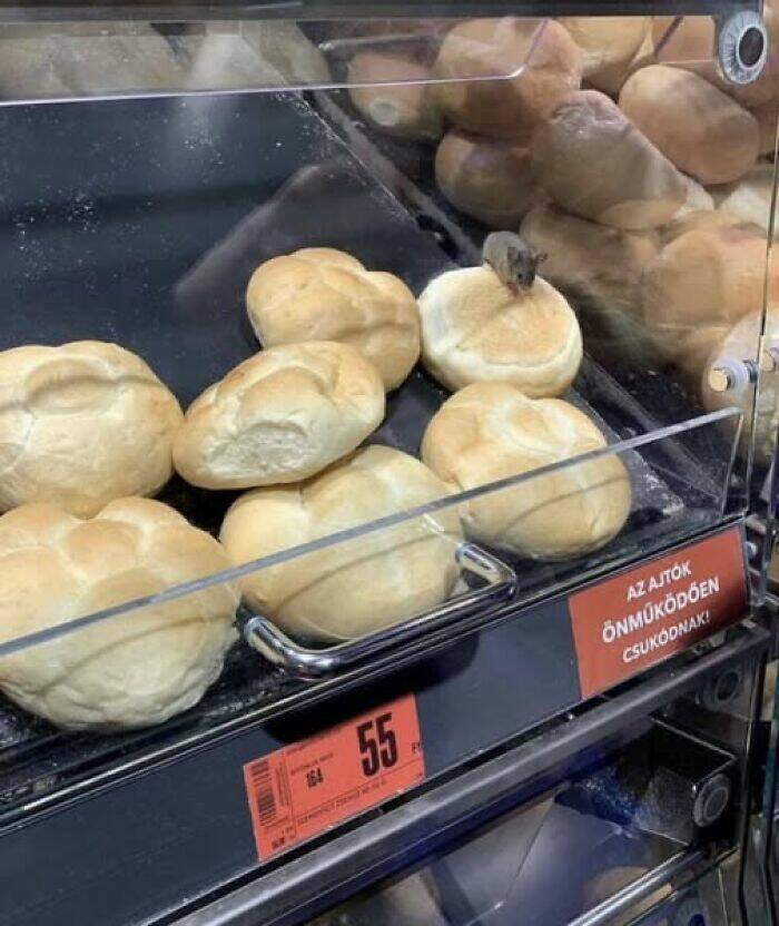 Food Fails That’ll Make You Laugh