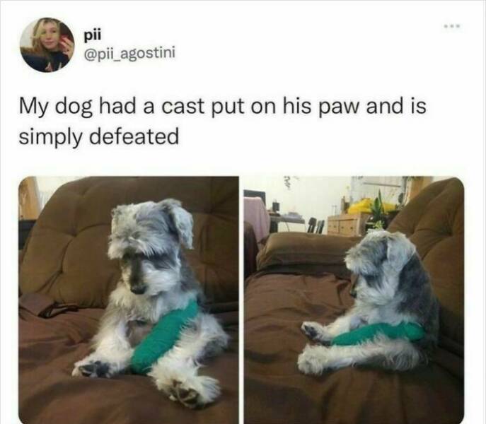 Posts Only True Sarcasm Experts Will Appreciate