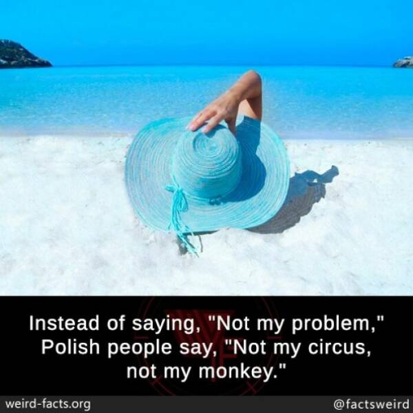 Bizarre Facts That Slipped Through History’s Cracks Bizarre Facts That Slipped Through History’s Cracks