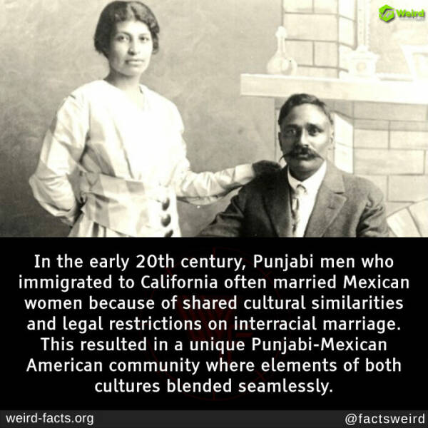 Bizarre Facts That Slipped Through History’s Cracks Bizarre Facts That Slipped Through History’s Cracks