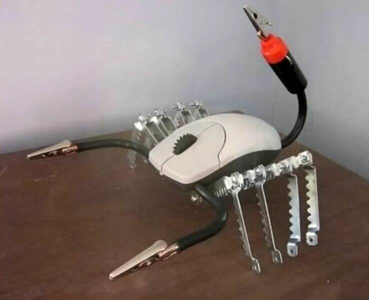 Daily Picdump Daily Picdump