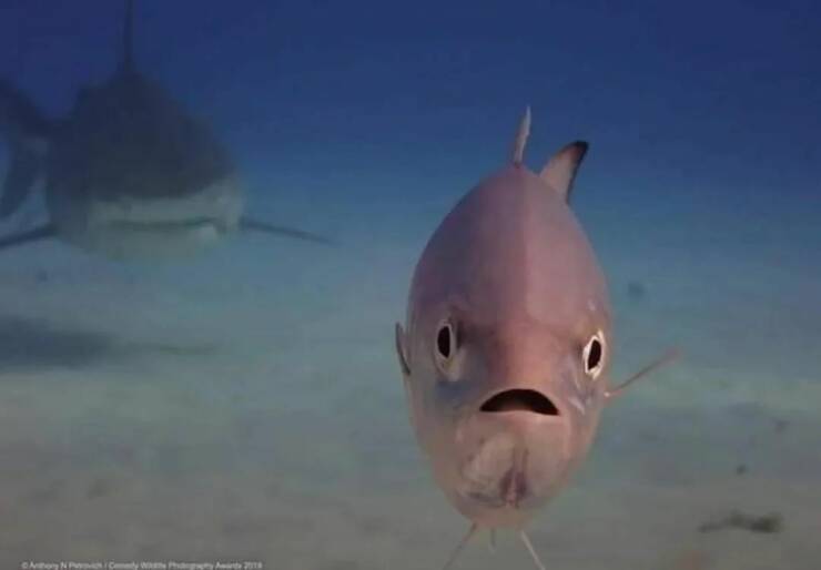 Daily Picdump Daily Picdump