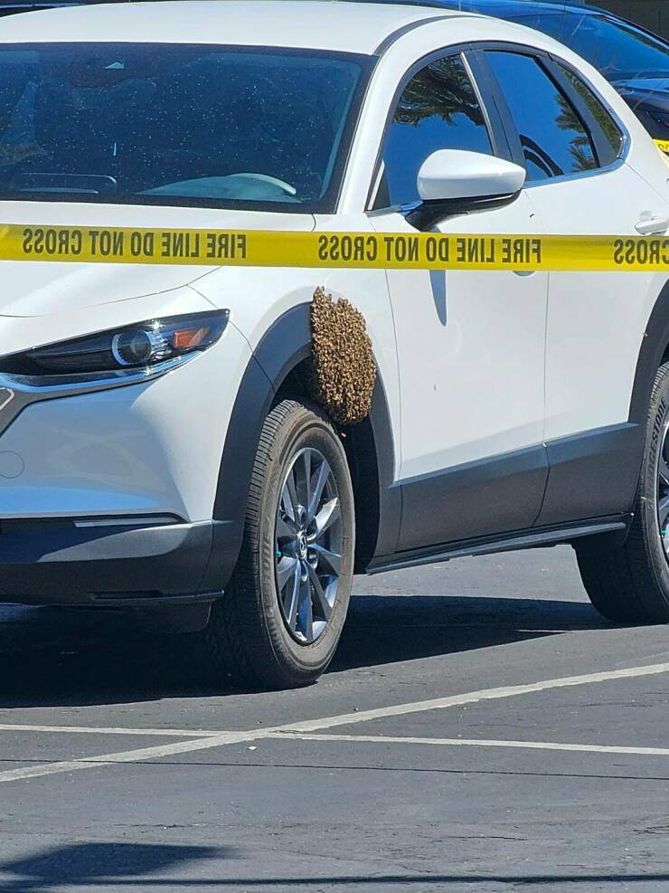 Daily Picdump Daily Picdump