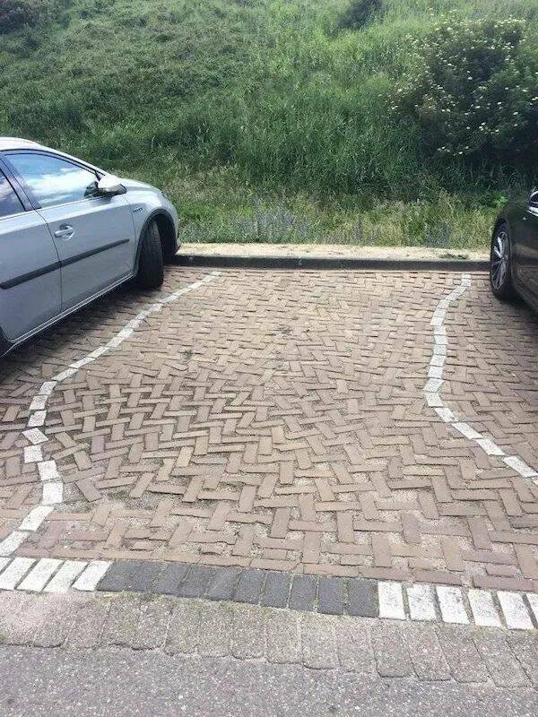 Daily Picdump Daily Picdump