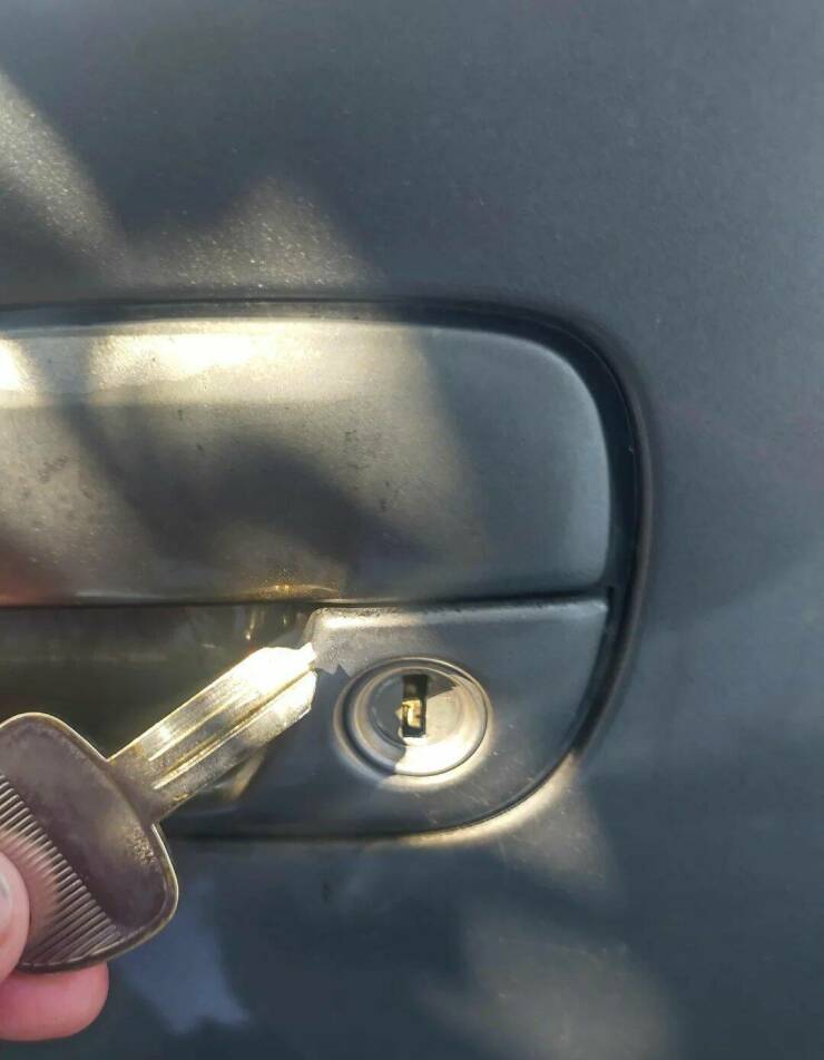 Daily Picdump Daily Picdump