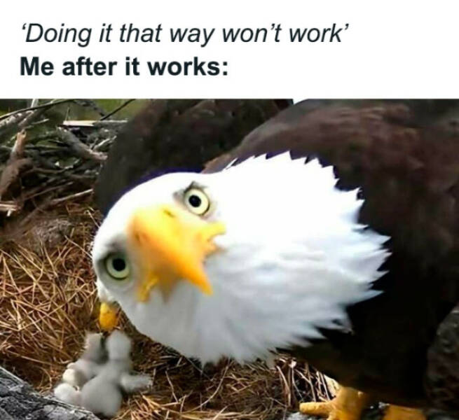 Don’t Laugh If You Don’t Wanna Lose!