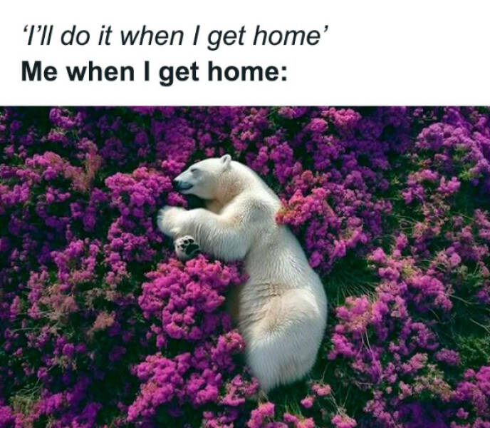 Don’t Laugh If You Don’t Wanna Lose!