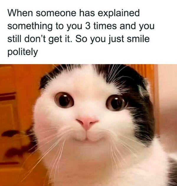 Don’t Laugh If You Don’t Wanna Lose!