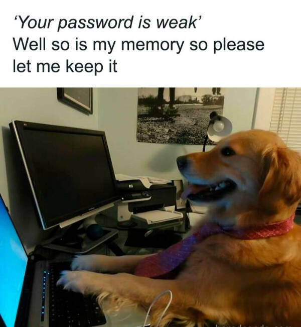 Don’t Laugh If You Don’t Wanna Lose!