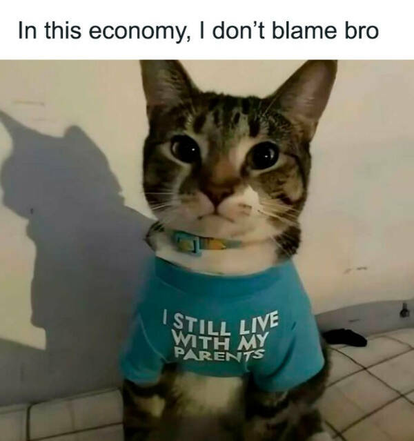 Don’t Laugh If You Don’t Wanna Lose!