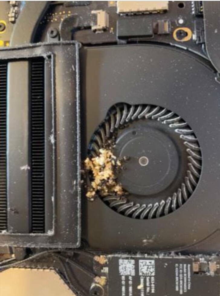 When Gadgets Meet The Wrong Hands