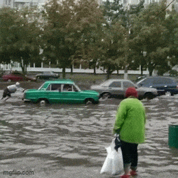 Daily Gifdump Daily Gifdump