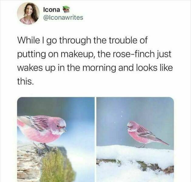 Only Millennials Will Truly Understand These Memes