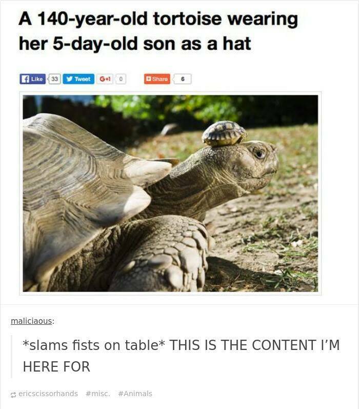 Only Millennials Will Truly Understand These Memes