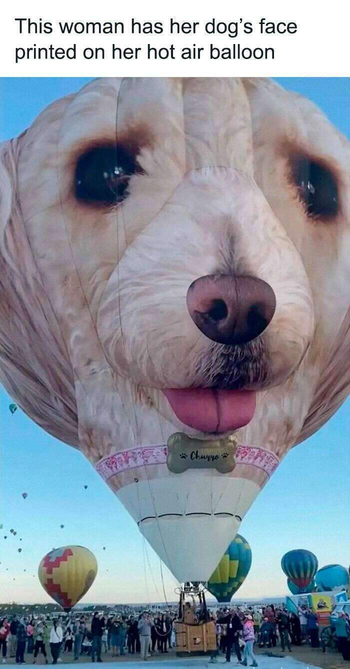 Relatable “Today Years Old” Discoveries