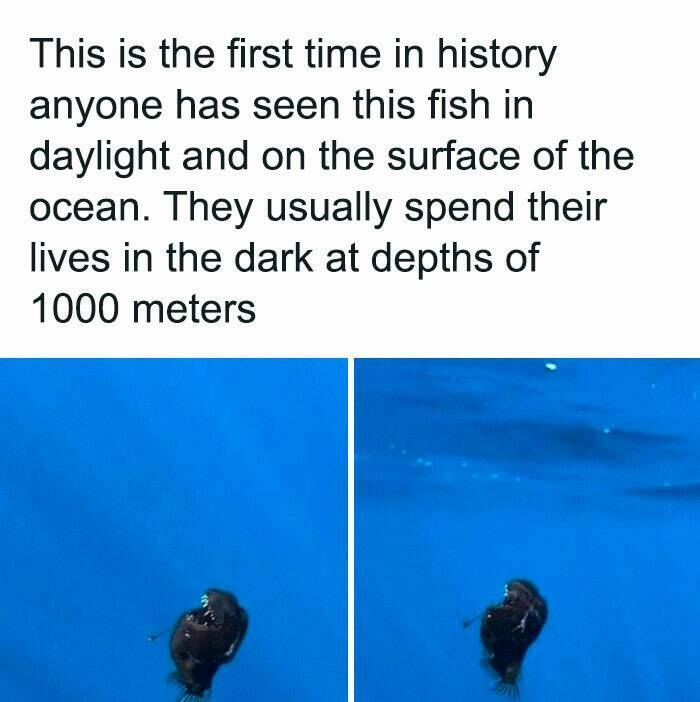 Relatable “Today Years Old” Discoveries