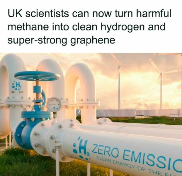 Uplifting News Bites That’ll Make You Smile Today