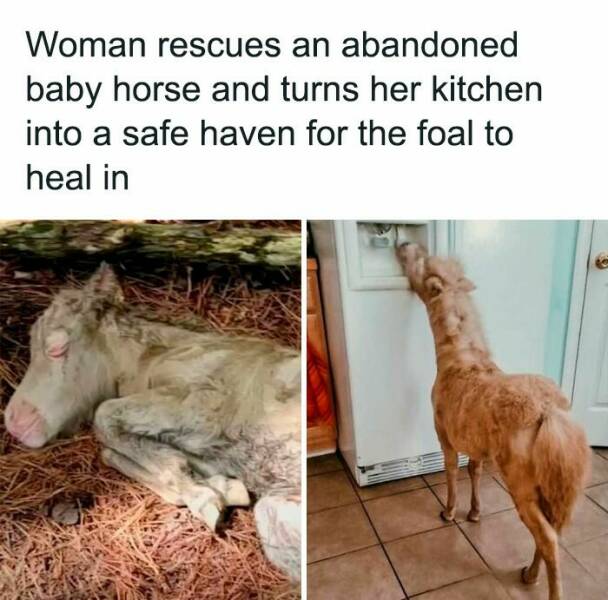 Uplifting News Bites That’ll Make You Smile Today