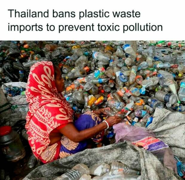 Uplifting News Bites That’ll Make You Smile Today