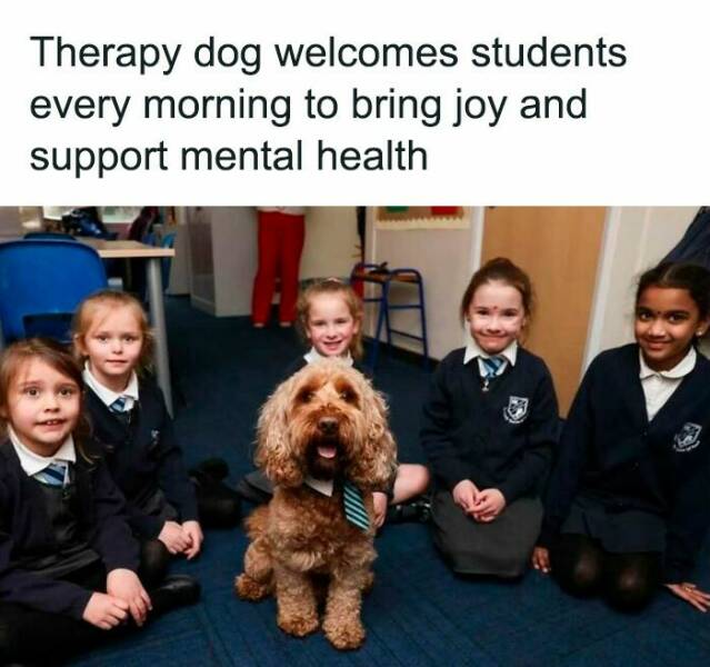 Uplifting News Bites That’ll Make You Smile Today