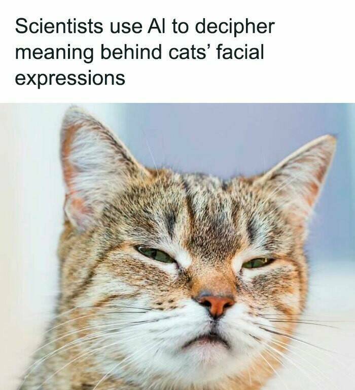 Uplifting News Bites That’ll Make You Smile Today