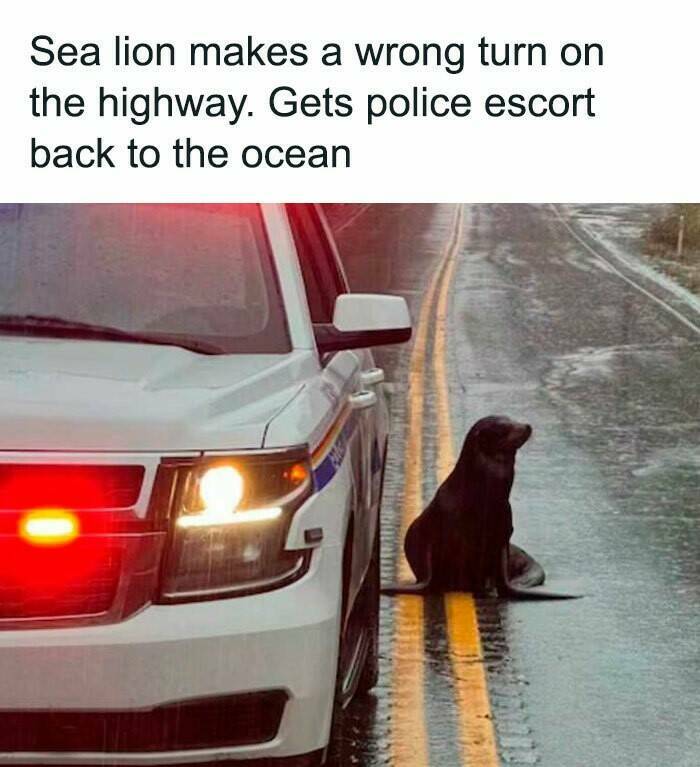 Uplifting News Bites That’ll Make You Smile Today