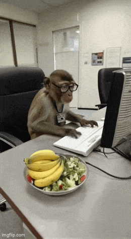 Daily Gifdump Daily Gifdump