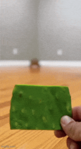 Daily Gifdump Daily Gifdump