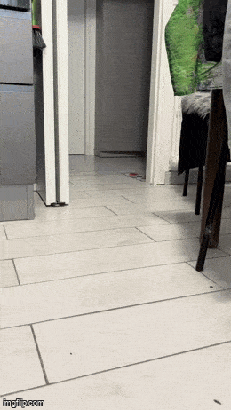 Daily Gifdump Daily Gifdump