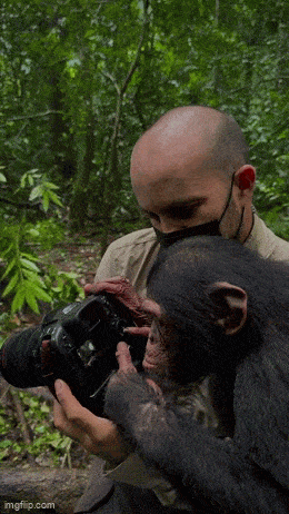 Daily Gifdump Daily Gifdump