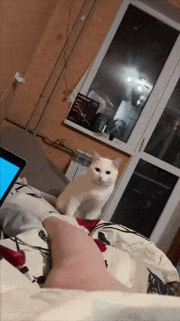 Daily Gifdump Daily Gifdump