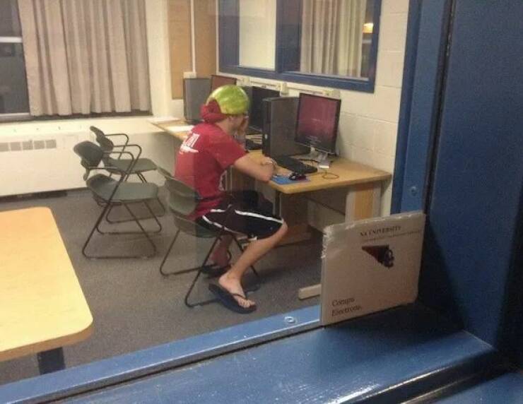 Daily Picdump Daily Picdump