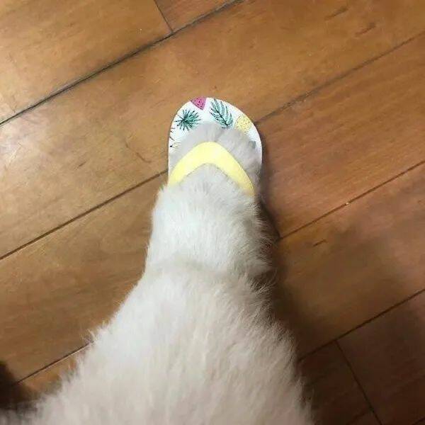 Daily Picdump Daily Picdump