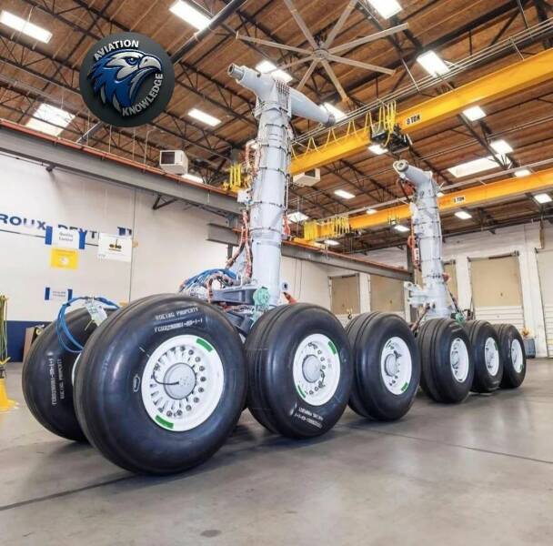 Daily Picdump Daily Picdump