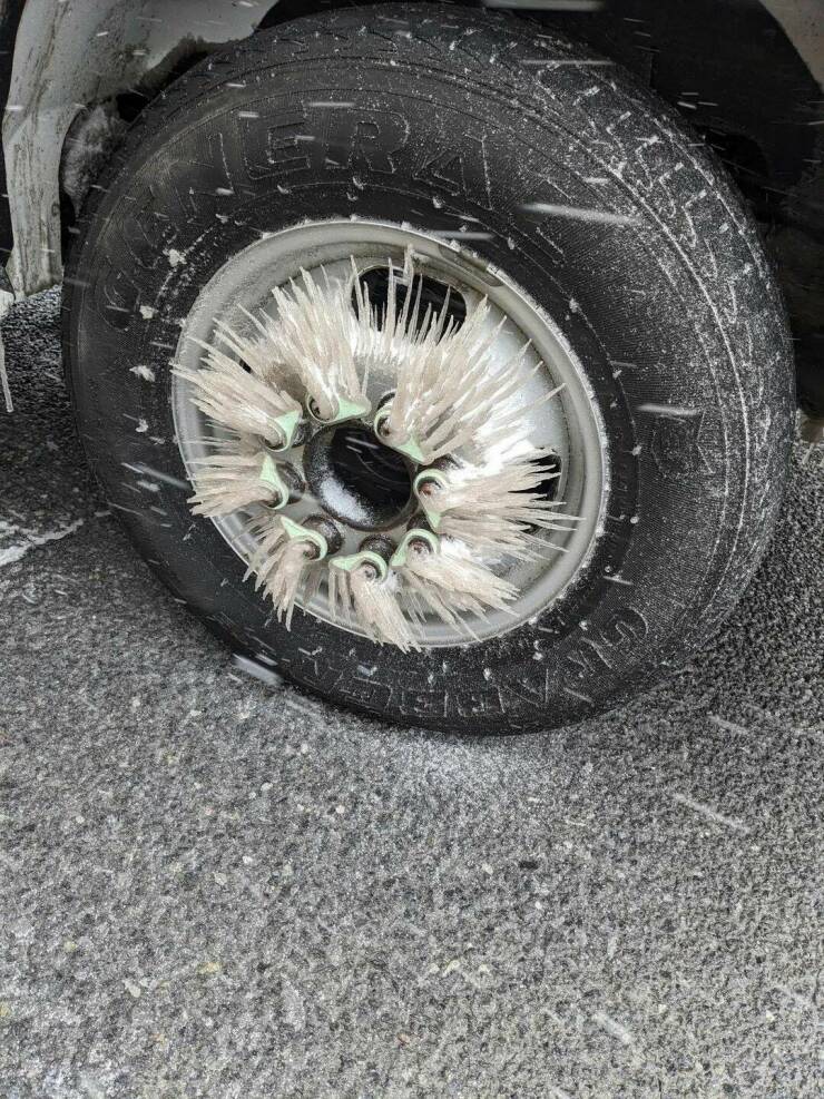 Daily Picdump Daily Picdump