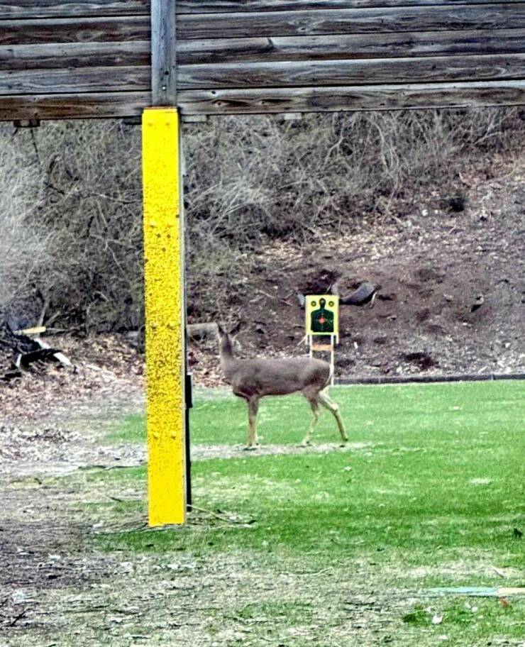 Daily Picdump Daily Picdump