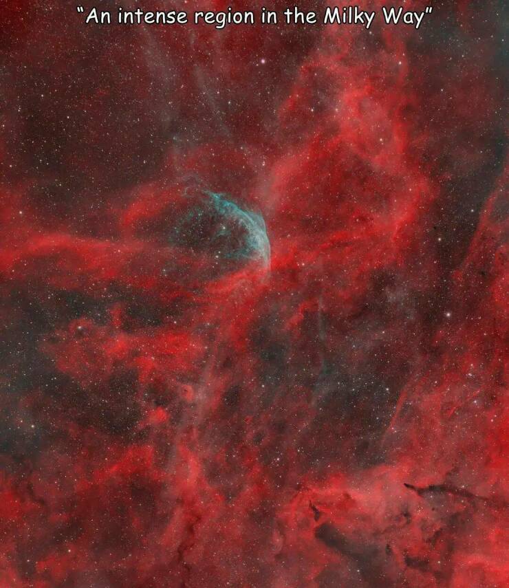 Daily Picdump Daily Picdump