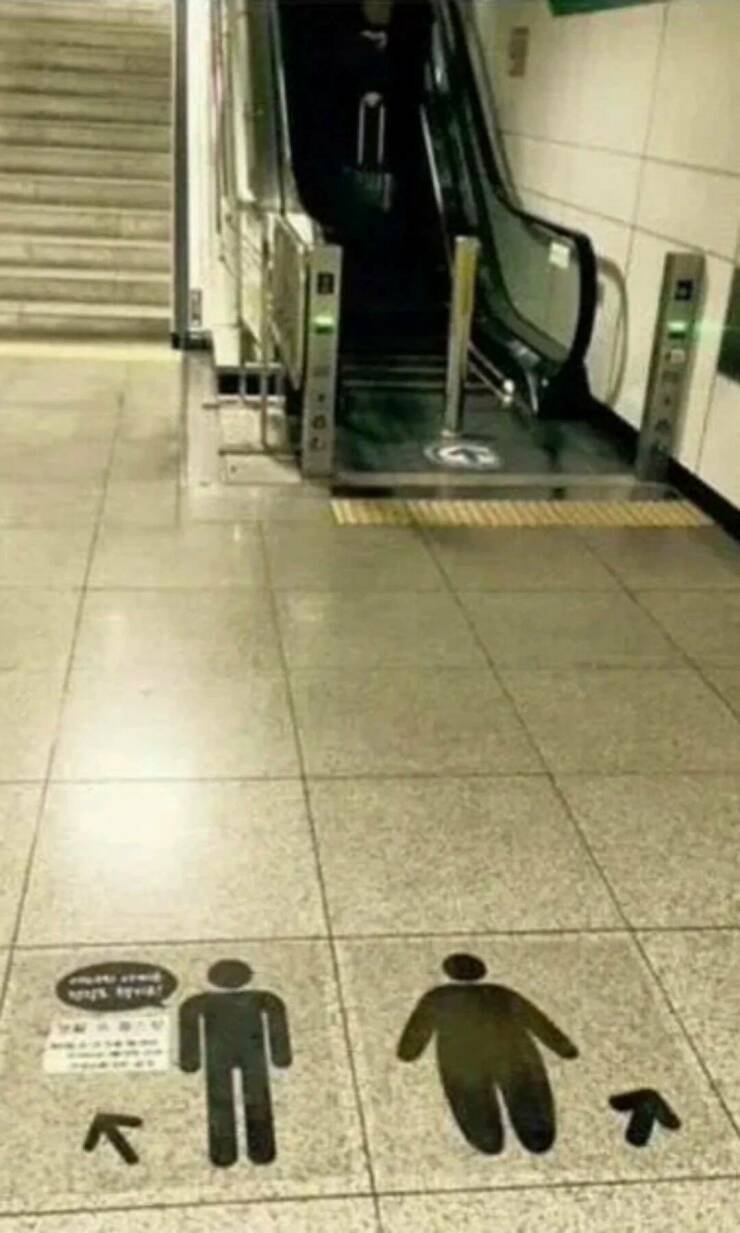 Daily Picdump Daily Picdump