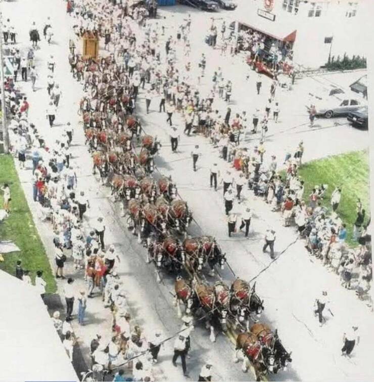 Daily Picdump Daily Picdump