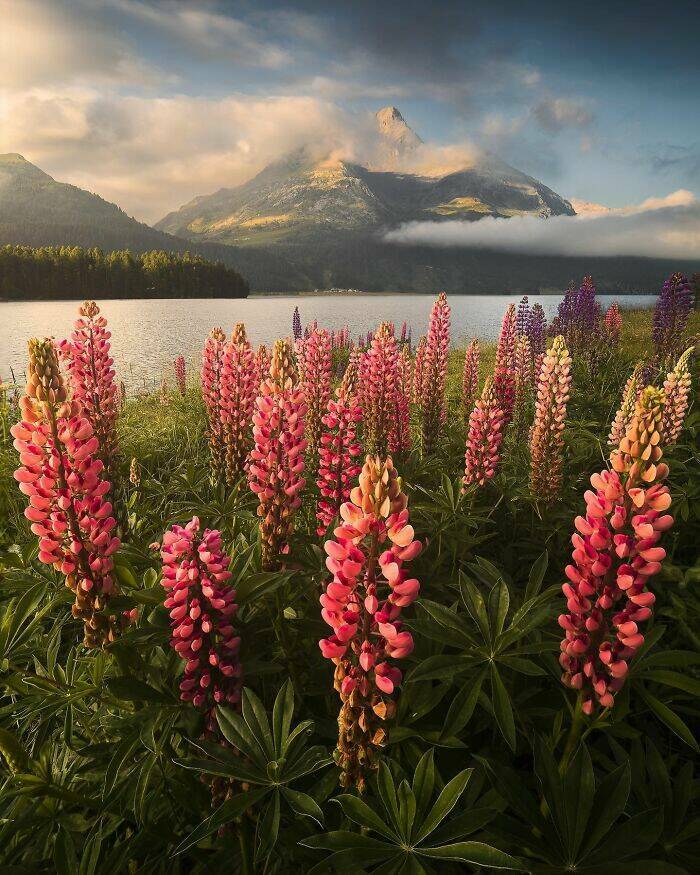 Stunning Places People Say Are The Most Beautiful On Earth