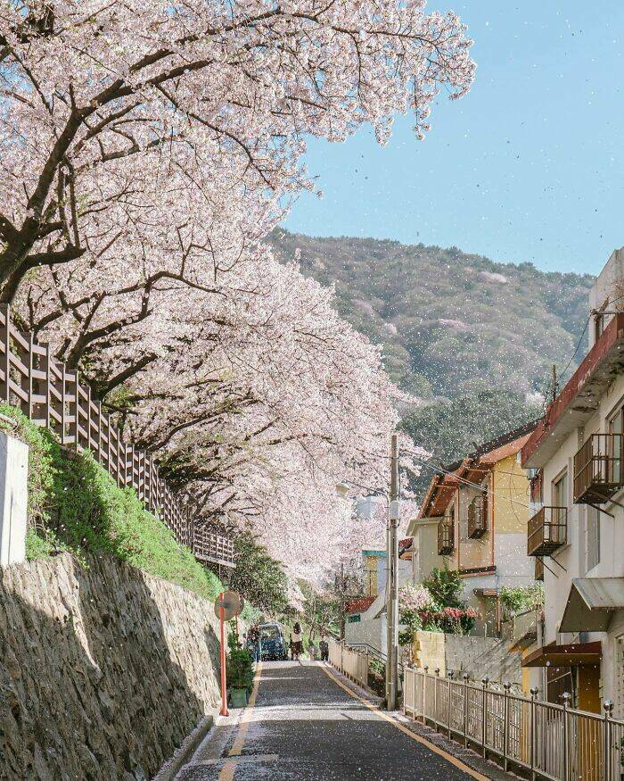 Stunning Places People Say Are The Most Beautiful On Earth