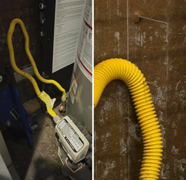 Wild Shots Of Risky Situations