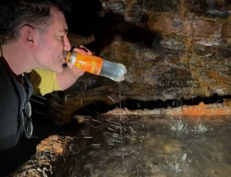 Wild Shots Of Risky Situations