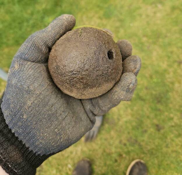 Wild Shots Of Risky Situations