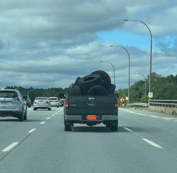 Wild Shots Of Risky Situations