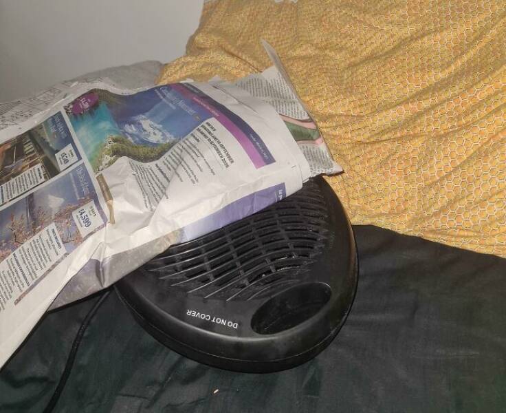 Wild Shots Of Risky Situations