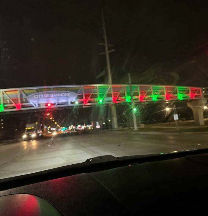 Wild Shots Of Risky Situations