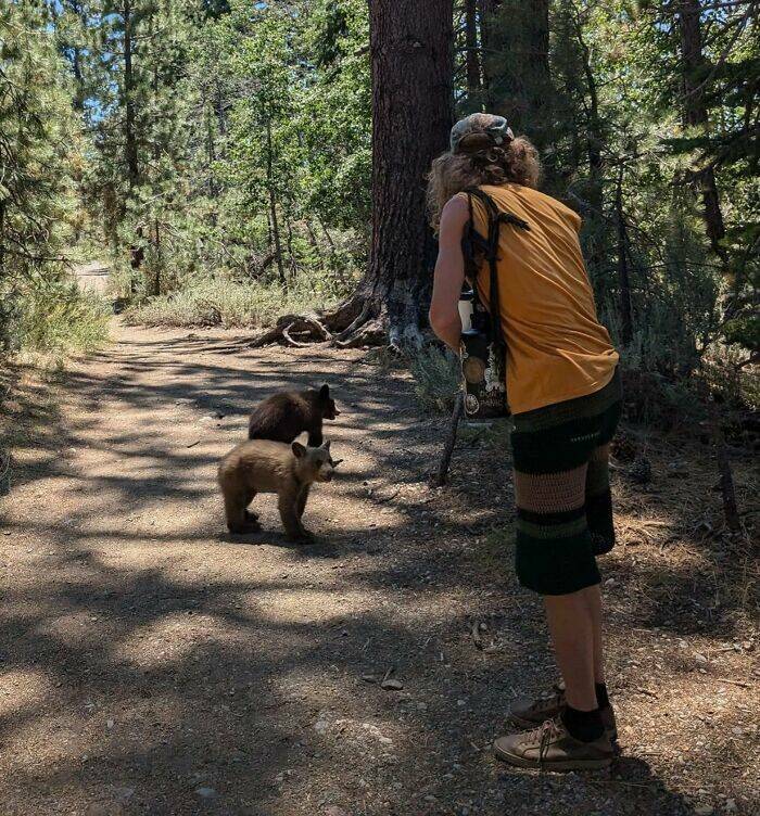 Wild Shots Of Risky Situations