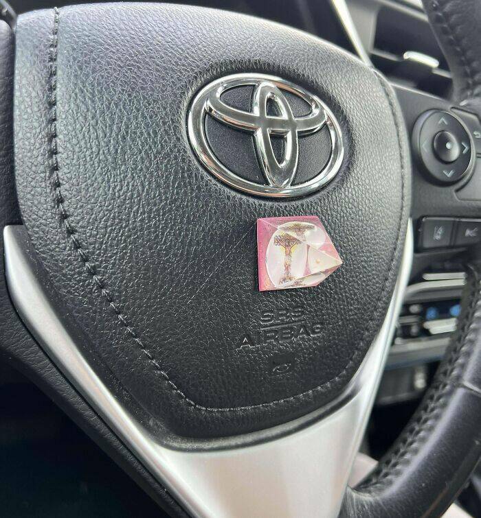 Wild Shots Of Risky Situations